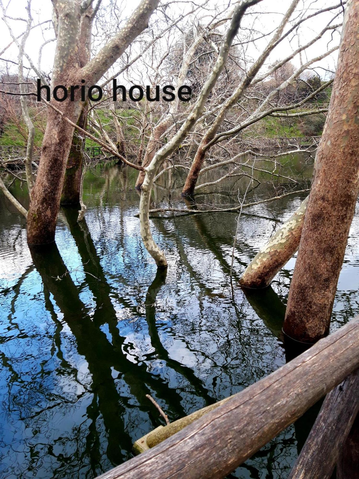 Horio House Limni (Crete)